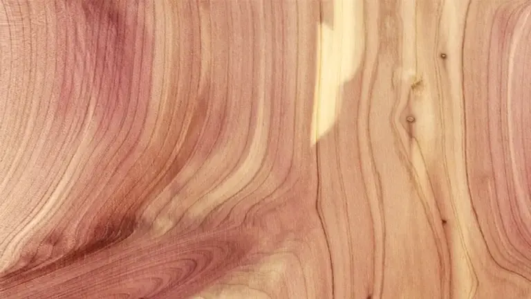 Alaskan Yellow Cedar  The Wood Database (Softwood)