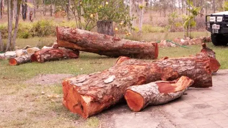 Cedar Lumber