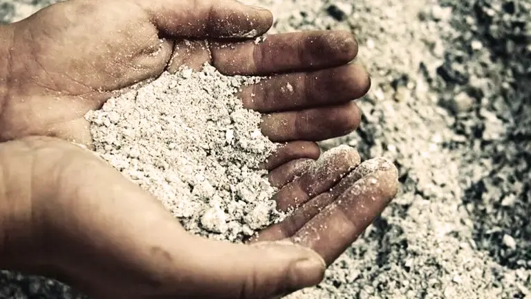 Cupped hand holding fine, powdery wood ash.