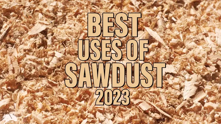 Best Uses of Sawdust 2024