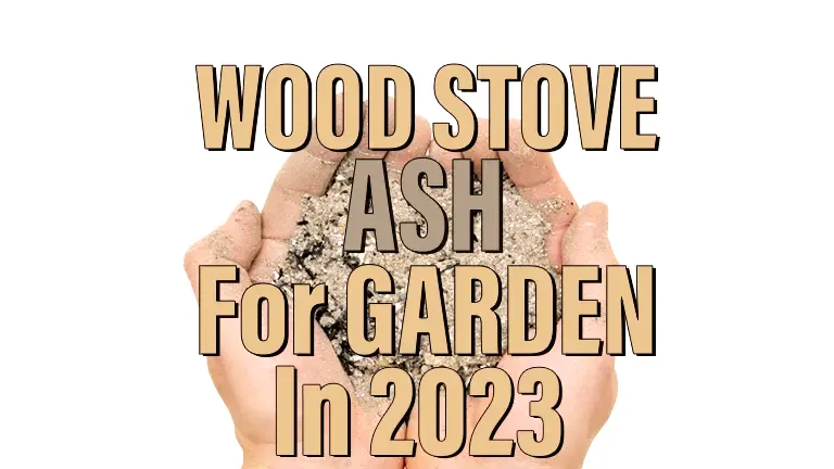 Wood Stove Ash For Garden in 2024