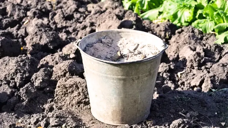 Wood Stove Ash in the bucket 