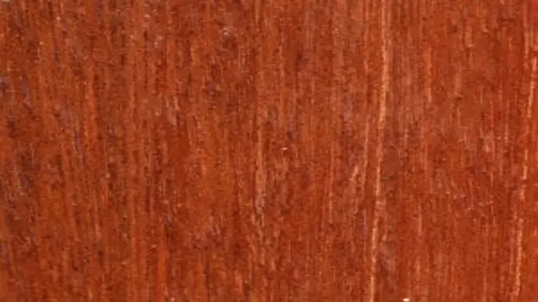 Philippine Mahogany Lumber