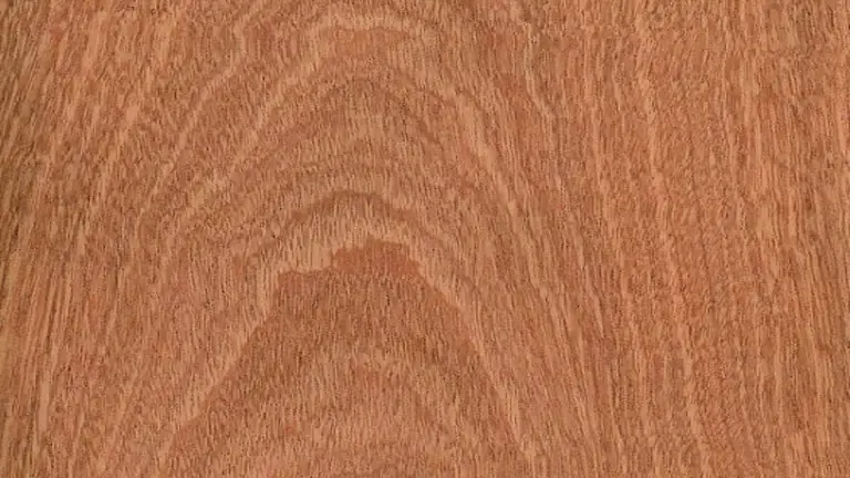 Sapele Mahogany Lumber