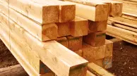 Hemlock Cant Lumber