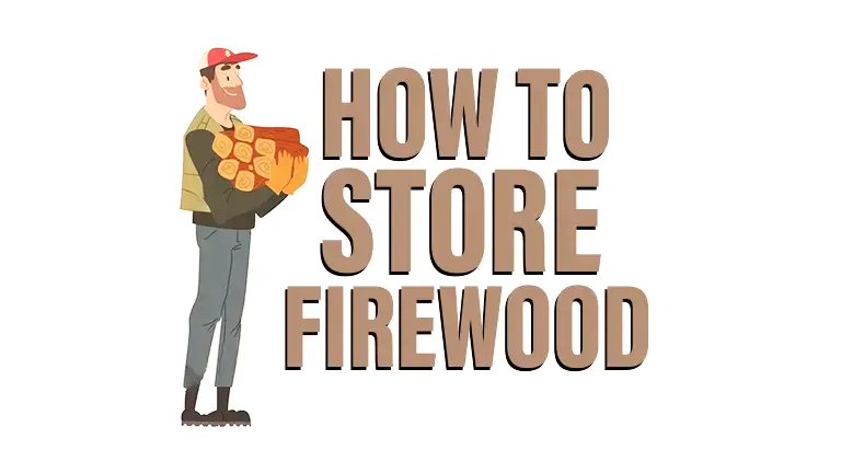 How to Store Firewood 2024