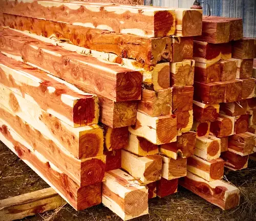 Cedar Cant Lumber