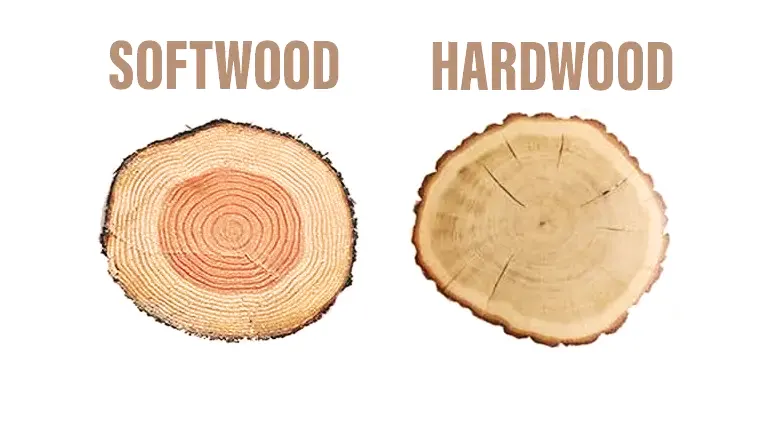 Softwood and Hardwood