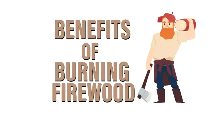 Benefits of Burning Firewood 2023