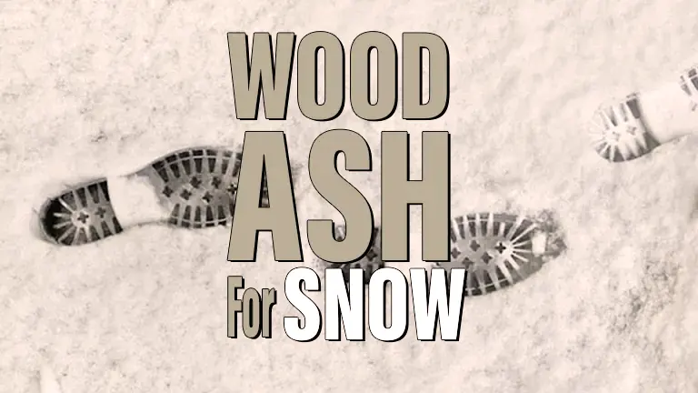 Wood Ash for Snow Ideas 2024