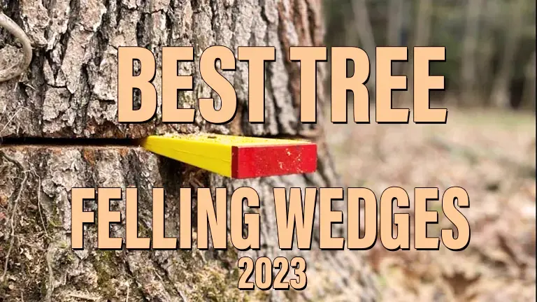 Best Tree Felling Wedges 2024