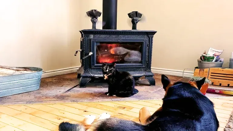 Your Guide to Wood Stove Installation » Full Service Chimney™