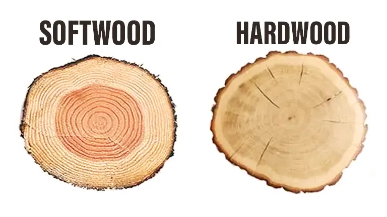 Softwood Hardwood