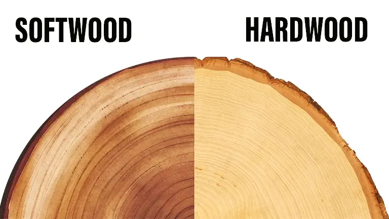 soft wood and hardwood