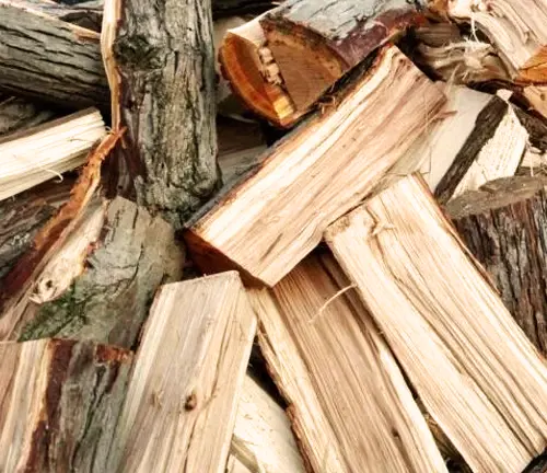 Green or Freshly-Cut Wood