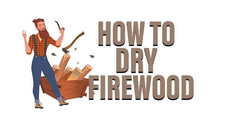 How to Dry Firewood 2024