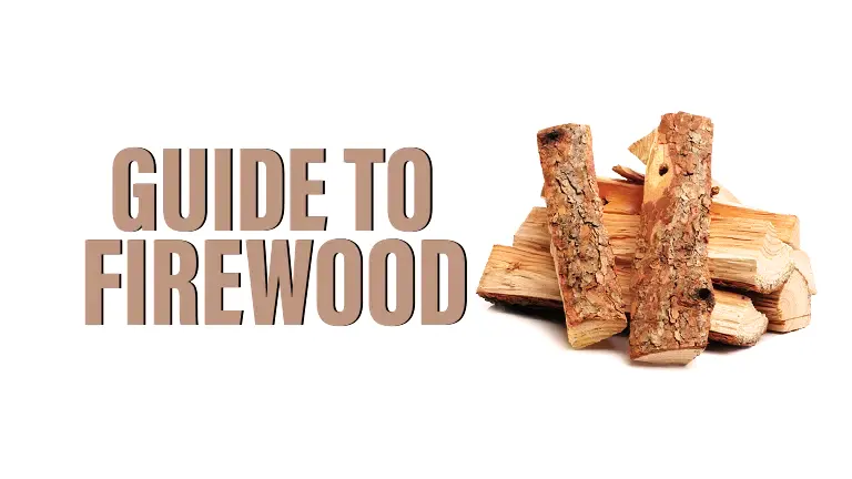 Guide To Firewood 2023
