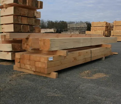Hemlock Cant Lumber