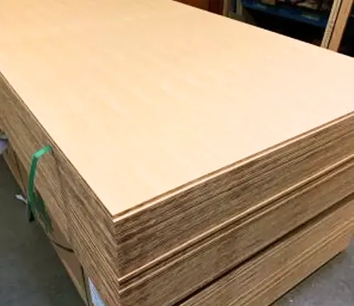 Amur Maple Wood