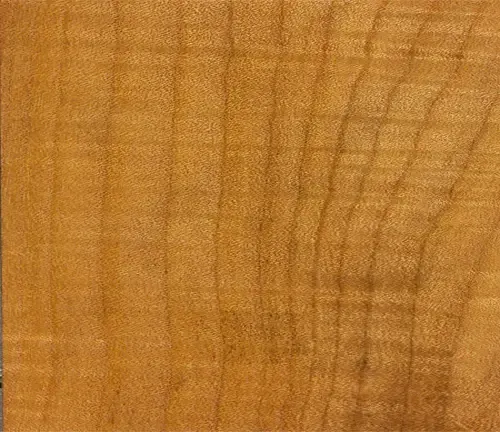 Bigleaf Maple Wood