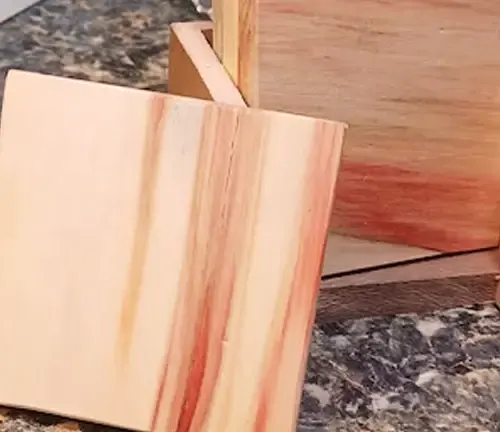 Box Elder Maple wood