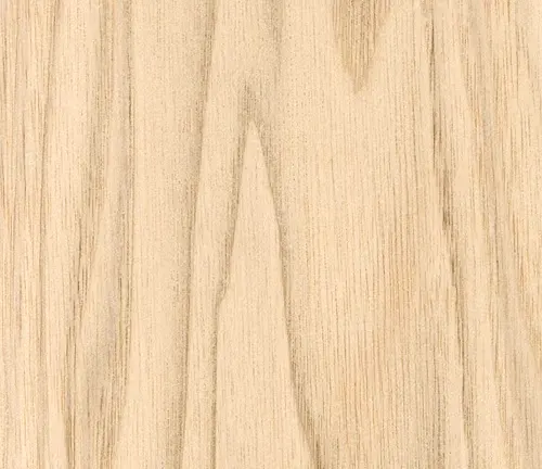 Heartnut Wood