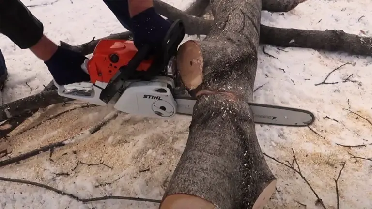 Person using STIHL MS 251 C-BE chainsaw on snowy ground.