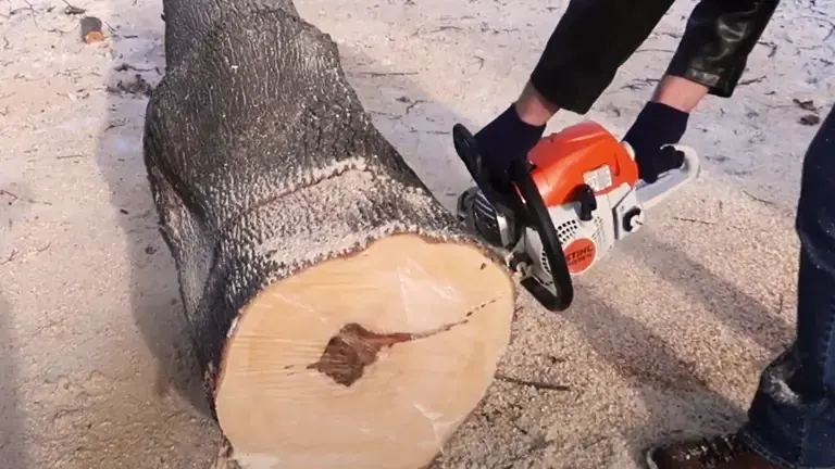 Person cutting log with STIHL MS 251 C-BE chainsaw.