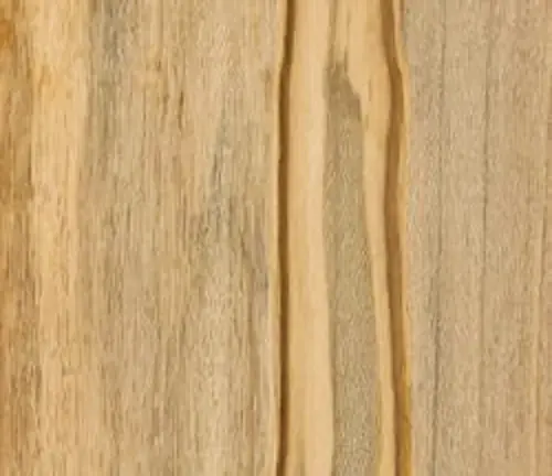 Norway Maple Wood