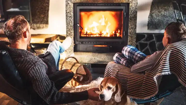 Wood Stove 