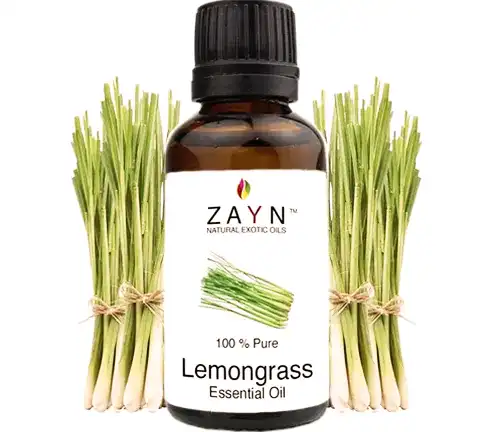 Common Uses Lemongrass Plant