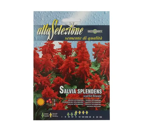 The image is of a seed packet for Salvia Splendens, also known as Scarlet Sage. The packet is blue and features a picture of the red flowers on the front. It has several white labels with text in green and red. The labels read “alta selezione”, “semente di qualità”, “Salvia Splendens”, and “Scarlet Sage”. There’s also a label indicating that the packet contains 18 seeds. This description aims to provide a comprehensive understanding of the seed packet’s appearance and contents.