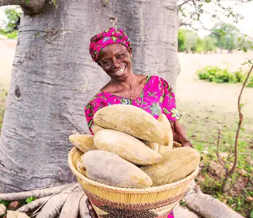 Other Uses of Baobab Tree