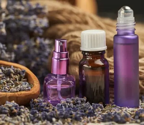 The image displays three small bottles of essential oils in different shapes and sizes, including a roll-on, a spray, and a dropper, resting on a bed of dried lavender flowers on a wooden surface.
