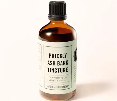 Ash Tree Other Uses Prickly Ash Bark
