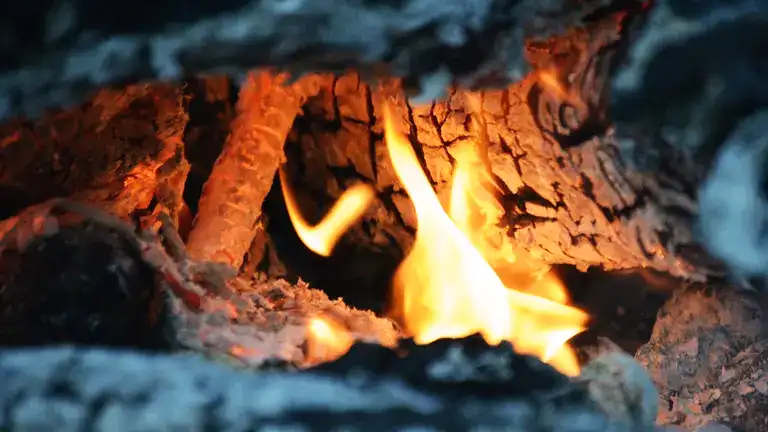 Burning coal in wood stove.