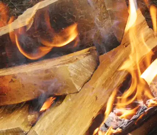 Wood Consumption Blaze King Ashford 30