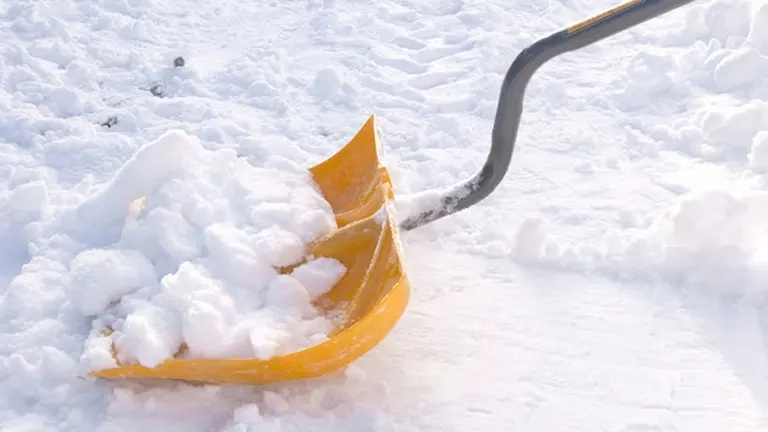 True Temper 18-inch Ergonomic Mountain Mover Snow Shovel
