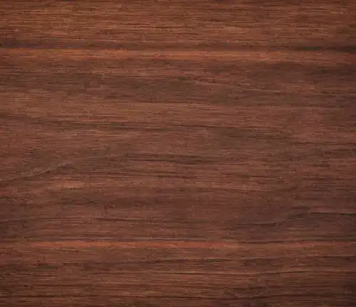 What is Walnut Wood?  Definition of Walnut Wood