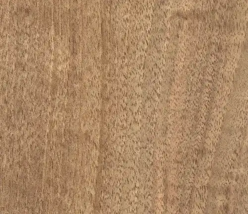 English Walnut Lumber