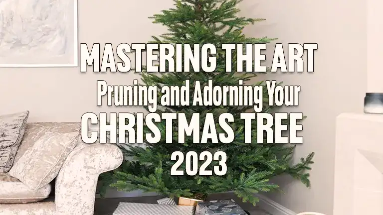 Mastering the Art Pruning and Adorning Your Christmas Tree: A Step-by-Step Guide for 2024