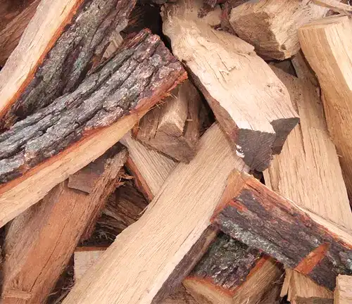 Choosing the best firewood for a wood-burning stove