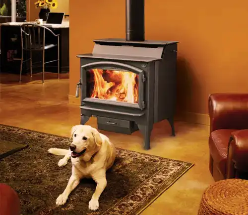 Lopi Endeavor NexGen-Fyre™ wood stove in a cozy room with a dog on the rug.