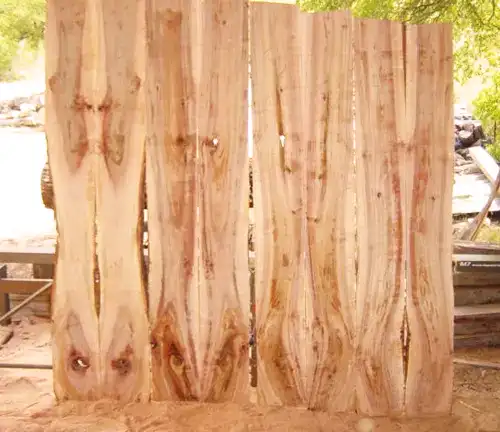 Willow Oak Lumber - Unique Feature