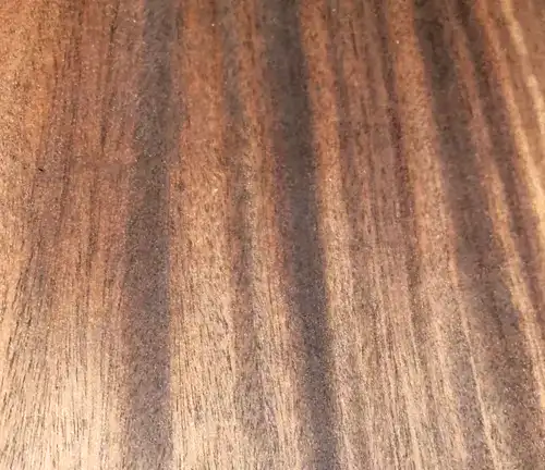 english walnut wood