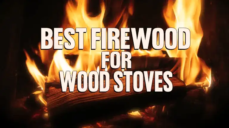 Best Firewood for Wood Stoves 2024