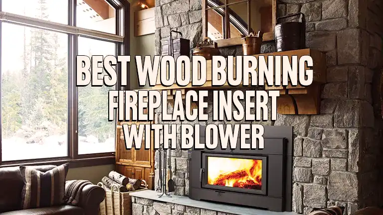 Best Wood Burning Fireplace Insert with Blower