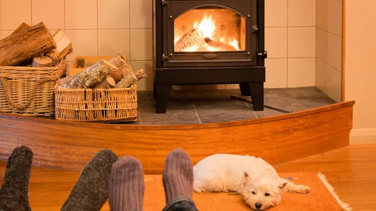couple relaxing by fire with west highland terrier dog