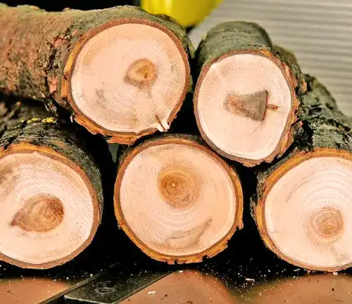 Willow Oak Lumber - Rot Resistance