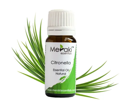 This is an image of a small brown bottle of Meraki Essentials Citronella Essential Oil, with a green label and white cap, set against a background of green leaves.